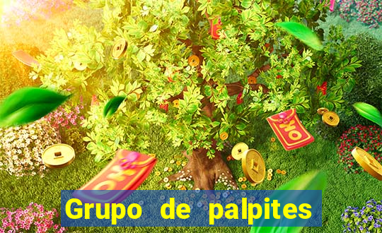 Grupo de palpites de futebol gratis